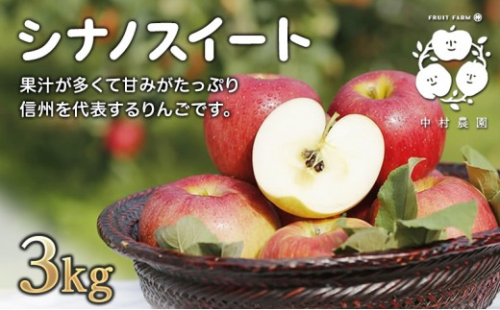 フルーツファーム中村農園　【10月中旬発送 先行予約】樹上熟成　シナノスイート 3kg |  りんご シナノスイート 林檎 人気 おすすめ 果物 フルーツ 贈答用 ギフト 送料無料 長野県 長野市 信州 信濃 ふるさと納税