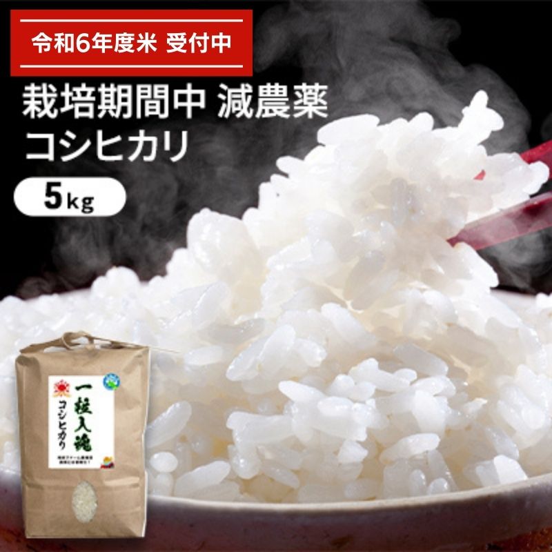 【ふるさと納税】令和7年産 栽培期間中減農薬 コシヒカリ 5kg お米 精米 白米 玄米 ブランド米 銘柄米 ご飯 おにぎり お弁当 和食 産地直送 粘り 香り 旨み つや　お届け：2025年10月1日以降