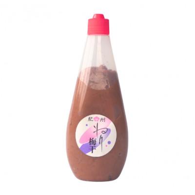 ふるさと納税 田辺市 ねり梅500g(1本)【ktk030】 |  | 03