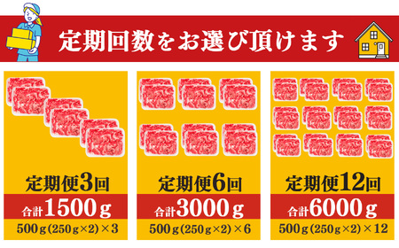 【 定期便 6回 】 奈良県産 黒毛和牛 大和牛 切り落し 500g ( 250g x2) ｜ブランド牛 和牛 金井畜産