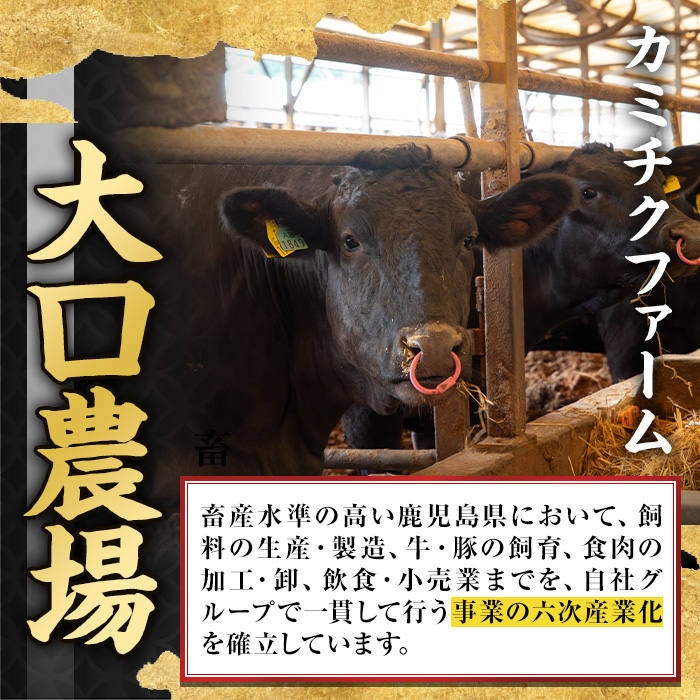A0-08 ＜5等級＞鹿児島県産黒毛和牛ローストビーフ(250g・専用ソース付き) ふるさと納税 伊佐市 特産品 鹿児島 九州産 牛肉 国産 贈り物 冷凍 冷凍便 【986919】