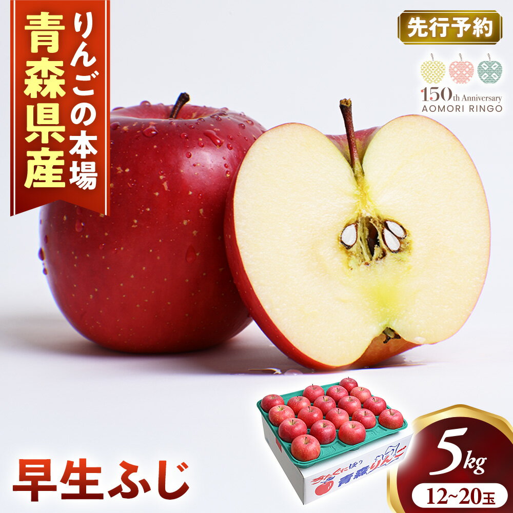 【ふるさと納税】【2026年産・先行予約】青森りんご【早生ふじ】約5kg（12〜20玉）★2026年9月下旬〜10月下旬頃まで発送予定★りんご 林檎 リンゴ 国産 早生 ふじ フルーツ 果物 贈答 土産 青森県 三戸町 R0409