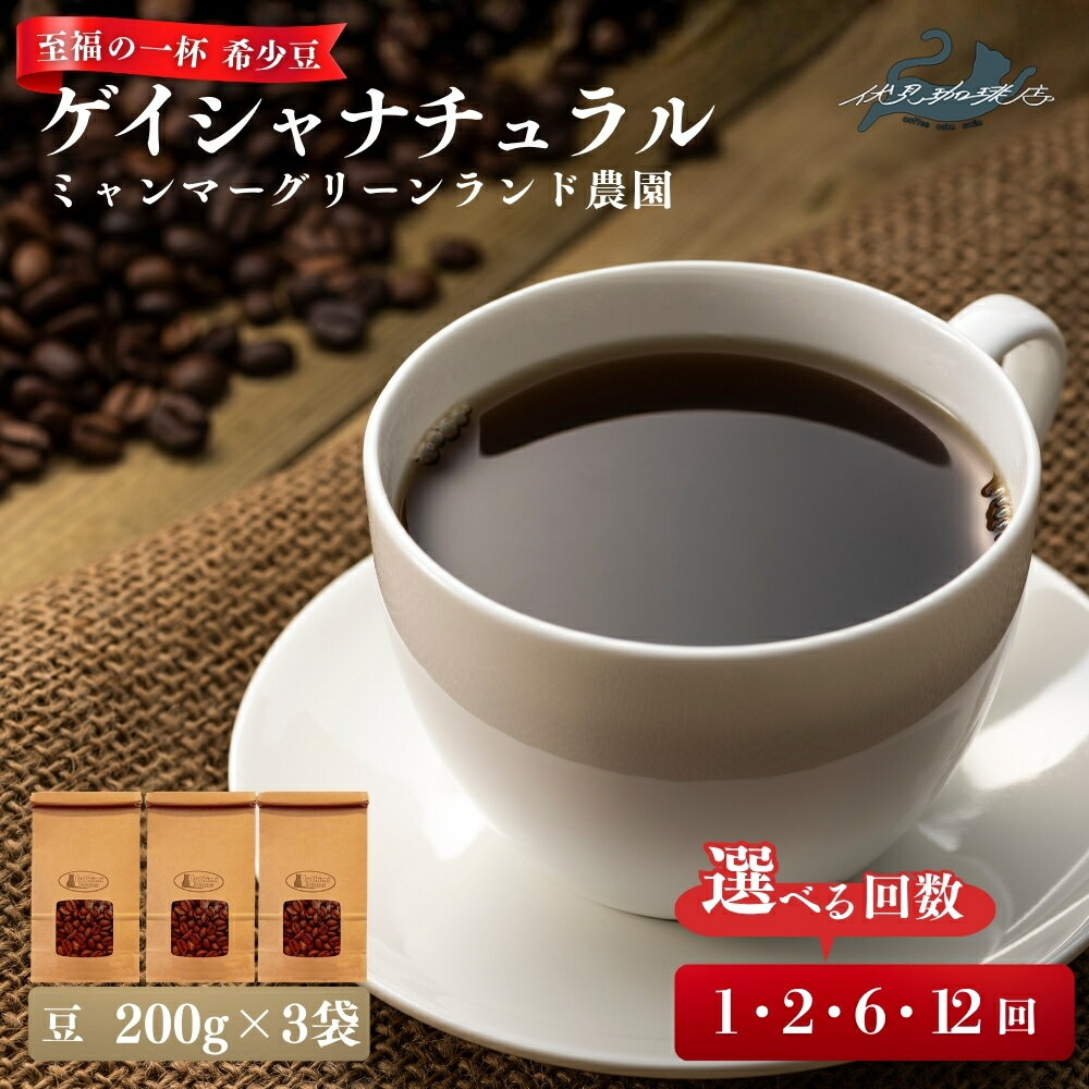 【ふるさと納税】【希少豆ゲイシャを堪能】【ミャンマー】華やかな香りと果実味が広がる、至福の一杯ゲイシャ ナチュラル グリーンランド農園（200g×3袋 ）選べる お届け回数 1回 2回 6回 12回