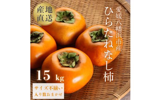 《秋の味覚 種なしで食べやすい》 ひらたねなし柿 15kg (7.5kg×2箱)＜H20-40＞【1594098】 YWTI035
