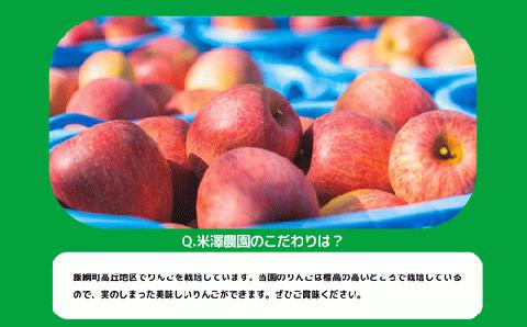 りんご 葉とらず サンふじ 訳あり 3kg 米澤農園 沖縄県配送不可 2023年11月下旬?12月下旬まで順次発送 令和5年度収穫分 傷 不揃い リンゴ 予約 農家直送 長野県 飯綱町 [1462]