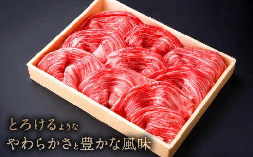 豊後牛肩肉 すき焼き用 600g 野菜セット 牛肉 大分県産