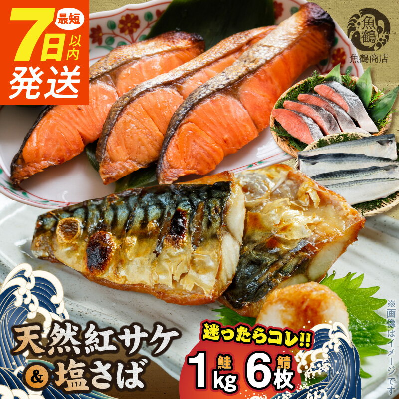 【ふるさと納税】【限定】 《7日以内発送》 天然 紅サケ 1kg & 塩さば 6枚 セット 切身 フィレ 選りすぐり コク 旨み 鮭 肉厚 鯖 魚 海の幸 海鮮 魚介 食品 食べ物 おかず 料理 お弁当 ホイル焼き 煮魚 塩焼き 水産加工品 お取り寄せ 冷凍 真空パック 和歌山 湯浅町 送料無料
