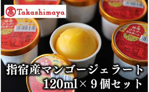 ＜高島屋選定品＞指宿マンゴージェラート9個セット(IB001-034/59D1953)