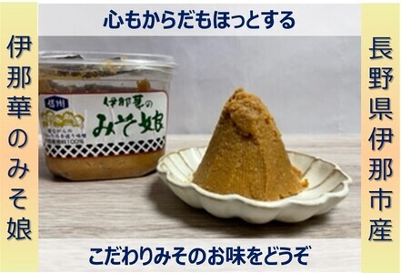 味噌 伊那華のみそ娘 みそ 10kg箱｜味噌 みそ 調味料 伊那 いな 長野県 ふるさと納税 大豆 お土産【026-11】