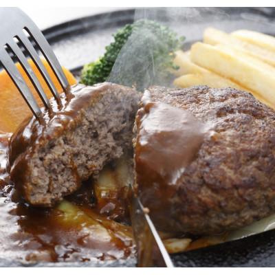 ふるさと納税 高森町 馬肉ハンバーグ　150g×10個(高森町)