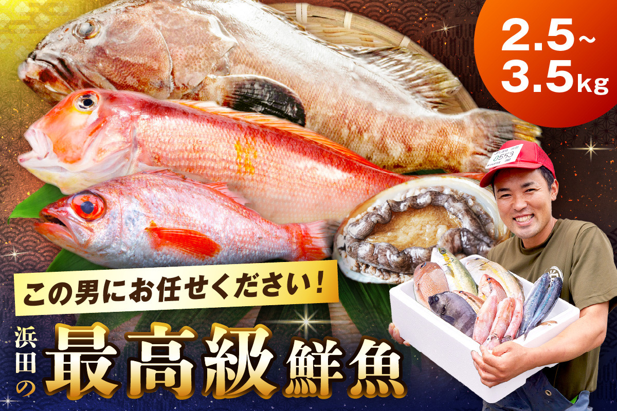 
            どんちっち浜田【輝き】鮮魚～最高級この男シリーズ～ 魚 海鮮 魚介類 セット 詰め合わせ 【006_2050】
          