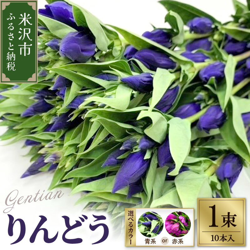 【ふるさと納税】【先行予約】 りんどう 青系 または 赤系 1束 10本入り 花 生花 切花 2026年8月上旬〜9月中旬 お届け予定 山形県 米沢市