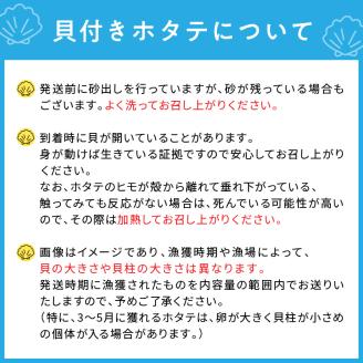 【予約：2024年3月下旬から順次発送】オホーツク貝付きほたて 5kg(30枚～50枚)( 貝 ホタテ ほたて 帆立 殻付き 貝柱 贈答 ギフト 贈り物  BBQ )【031-0011-2024】