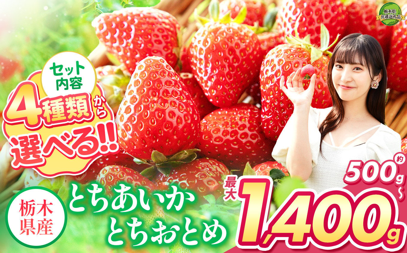 
            選べる いちご 4種類 500g ～ 1,400g以上 | いちご とちあいか とちおとめ 大粒 新鮮 甘い 食べ比べ 数量 限定 美味しい 果物 共通返礼品 フルーツ デザート 栃木県 那珂川町 送料無料
          