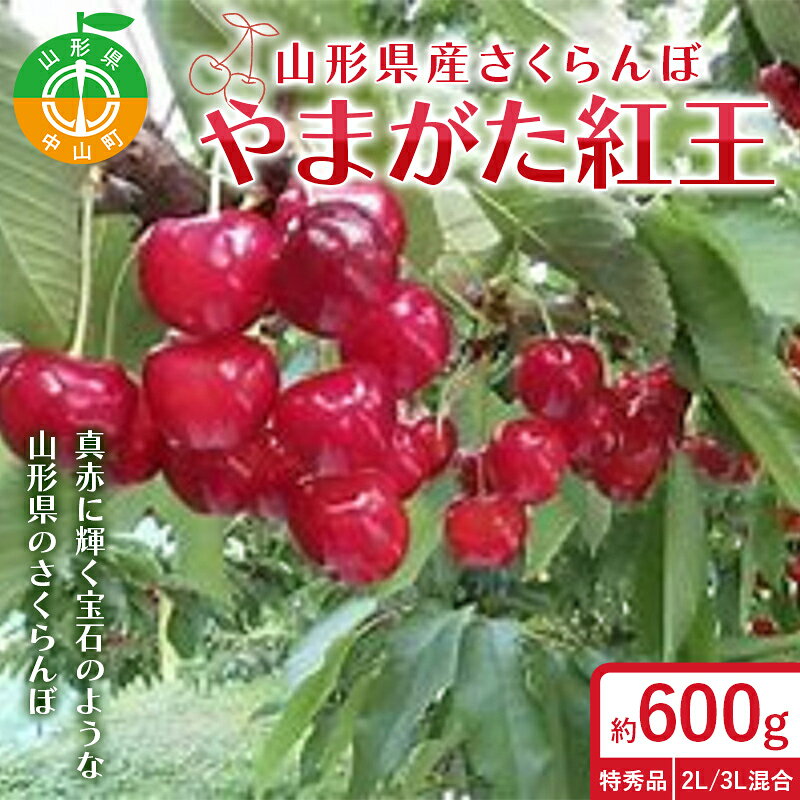 【ふるさと納税】【令和9年産先行受付】山形県産さくらんぼ＜やまがた紅王＞特秀品　約600g(約300g×2P)　2L/3L混合 果物 くだもの フルーツ 夏果物 サクランボ F4A-1039