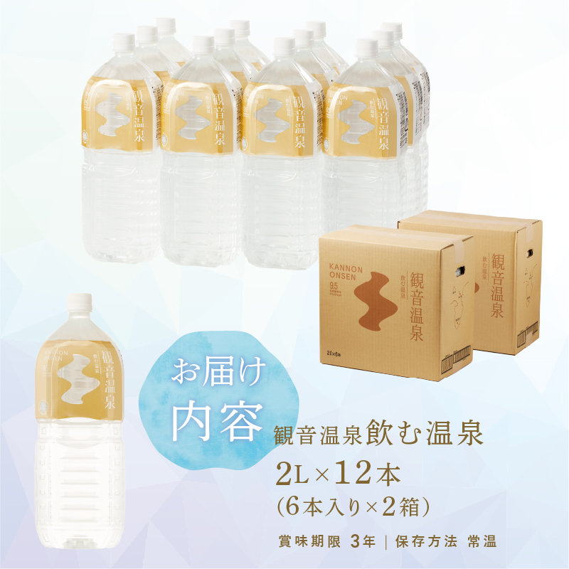 飲む温泉　観音温泉　2リットル(6本入)　2ケース