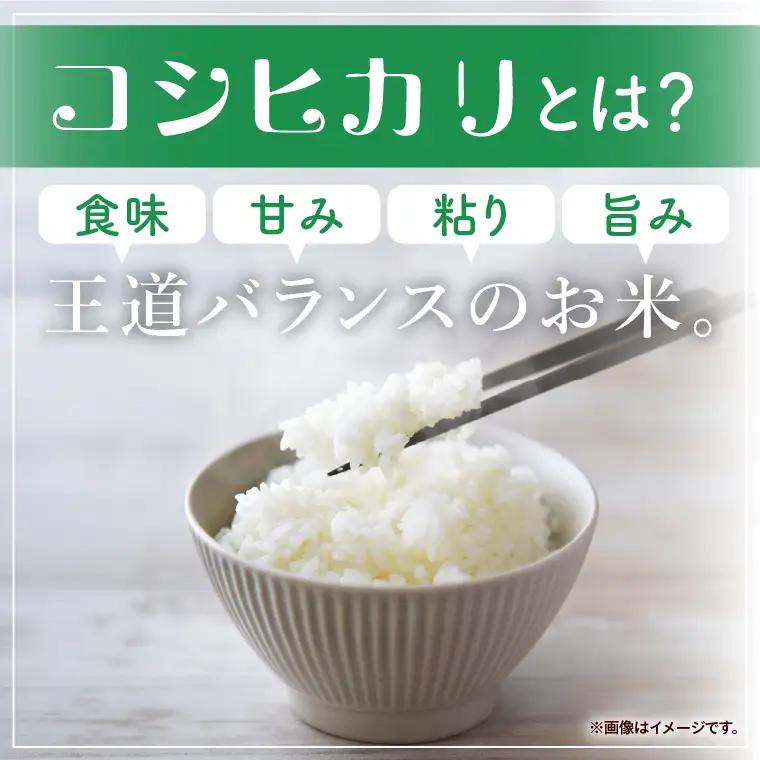 令和7年産 茨城県産 コシヒカリ15kg（5kg×3袋）【お米 米 コメ こめ こしひかり 北茨城市 茨城県】(AL255)