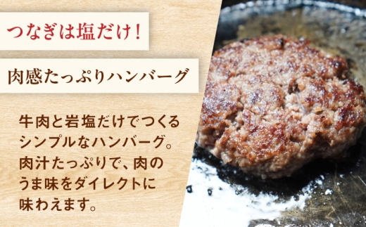 佐賀県産 しろいし牛 手ごねハンバーグ 5個（1個120g） / 牧場直送 国産 牛肉 ハンバーグ おかず / 佐賀県 / 有限会社佐賀セントラル牧場 [41ASAA323]