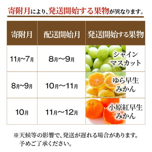 産地厳選三豊のフルーツ３回定期便　I_M64-0049