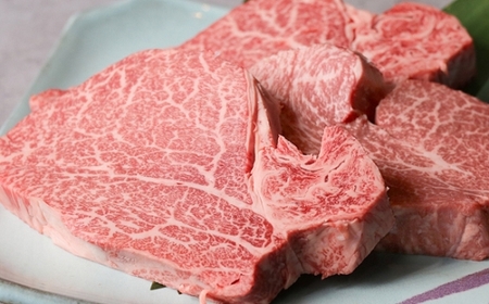 【定期便 4回発送】黒毛和牛ヒレステーキ定期便 合計2.6kg 