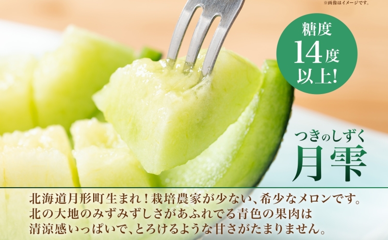 【2026年夏発送】北海道 青肉メロン 月雫 秀品 2玉 約1.6kg 計