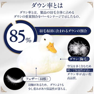 ふるさと納税 糸島市 【訳あり】【糸島羽毛ふとん】柄おまかせダウン85%【シングル】[AYM004] |  | 02