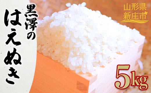 令和7年産 黒澤のはえぬき 5kg 米 お米 おこめ 山形県 新庄市 F3S-2434