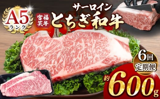 【定期便6回】宮福笑牛(とちぎ和牛) A5 サーロインステーキ 約200gx3枚  | 牛肉 和牛 ステーキ  定期便 サーロイン ステーキ ステーキ用 旨味 美味しい 肉 お肉  栃木県共通返礼品 栃木県 真岡市