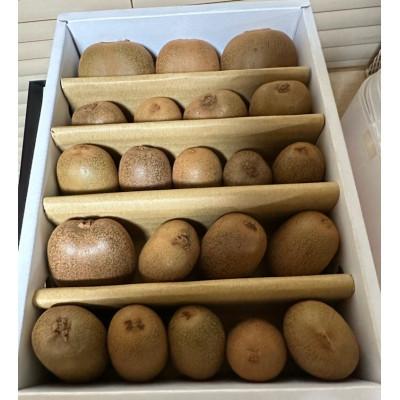 ふるさと納税 小豆島町 小さくて可愛らしいキウイ　さぬきキウイっこ　約800g |  | 01