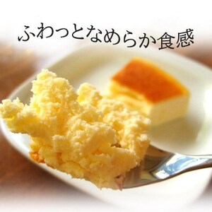 スプーンで食べる『チロルのクリームチーズケーキ5号』と『極・塩ハンバーグ 前沢牛100%2個』【配送不可地域：離島・沖縄県】【1630523】