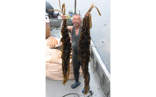 国東半島の天然お刺身わかめ（1kg）_イメージ5