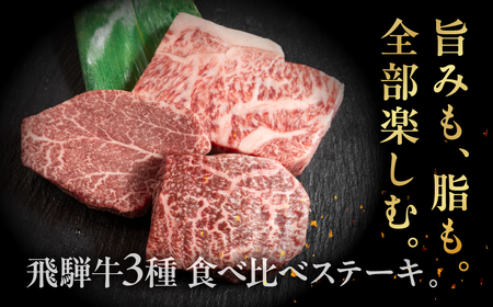 飛騨牛ステーキ 3種 食べ比べセット（各100g）計300g （サーロイン・ヒレ・赤身）【22-50】