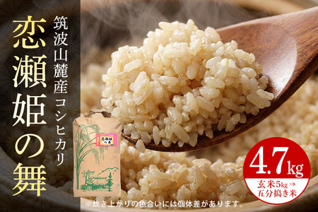 【玄米5kg⇒五分搗き米】筑波山麓厳選米【特A】令和7年産コシヒカリ（恋瀬姫の舞） B07-032
