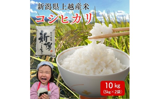 令和8年産 先行予約 新潟県 上越市産米 コシヒカリ 10kg（5kg×2） こしひかり 新米 精米 米ヴィレッジさんわ 上越市三和区