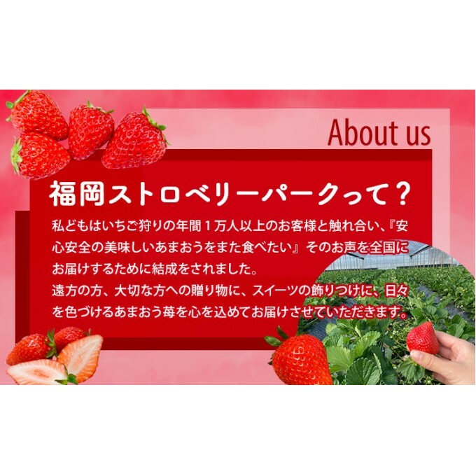 訳あり いちご 2027年2月中旬より発送 あまおう サイズ色々 6パック 約1.71kg 果物 フルーツ 福岡県産あまおう※配送不可：離島_イメージ5
