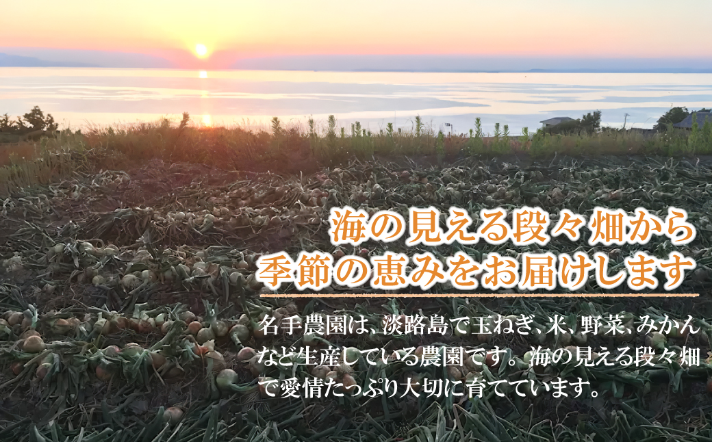 名手農園の淡路島特産農園セット【淡路島産玉ねぎとじゃがいも】　　[じゃがいも 玉ねぎ 淡路島たまねぎ じゃがいも たまねぎ]