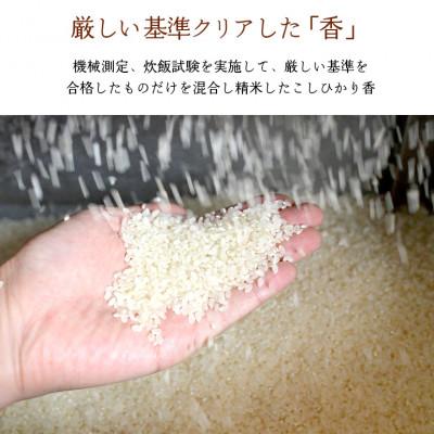 ふるさと納税 茨城町 【令和7年産】茨城県産米　こしひかり香　5kg |  | 02