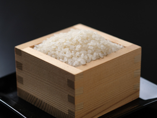 吉野ひのひかり 5kg《川本米穀店》