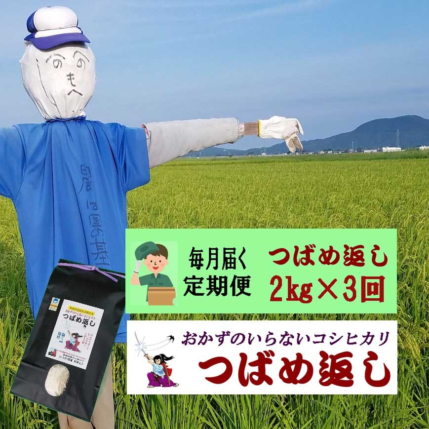 
                  【令和8年産米予約受付中】おかずのいらないコシヒカリ「つばめ返し2kg」白米3か月定期便(月イチで計3回) FC027023
                