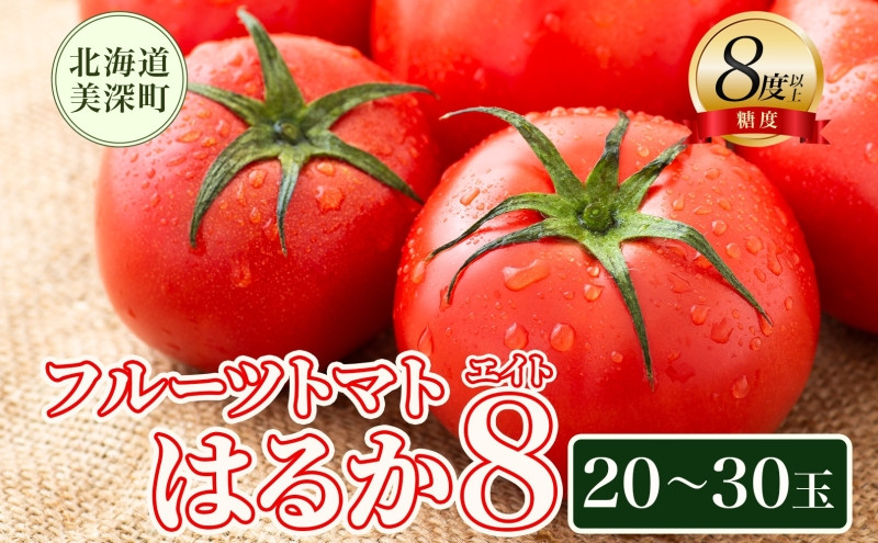 
            【2026年発送】 糖度8度以上 フルーツトマト はるか8（エイト） 20～30玉 トマト 野菜 夏 野菜 旬 甘い 濃厚 果物 フルーツ 高糖度 新鮮 産地直送 北海道 美深町 [№5894-0594]
          
