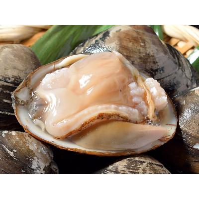 ふるさと納税 釧路市 [船上]剥きほっき(刺身用)1kg(20玉前後)×1袋 ふるさと納税 貝 F4F-1540 |  | 01
