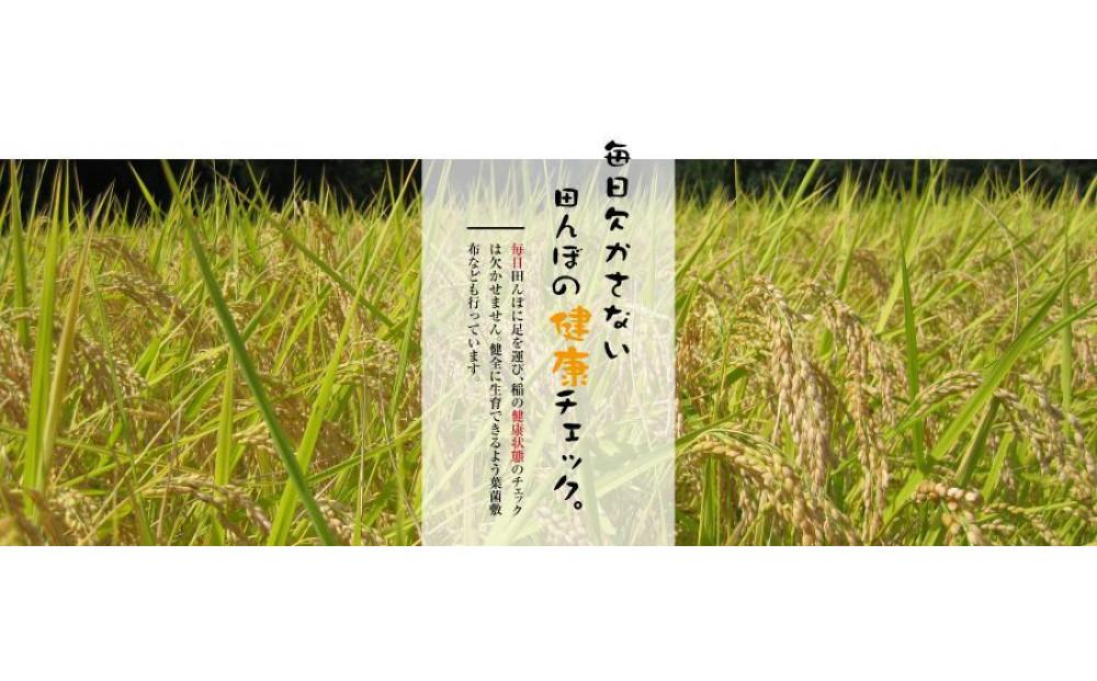 【令和8年産先行予約】【12ヶ月定期便】最高級魚沼産こしひかり【ダイヤモンド褒賞受賞 特別栽培米】 5kg（5kg×1袋）×全12回 129406-010