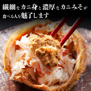 前浜ゆで毛がに 姿(約500～550g×2尾)2～4人前