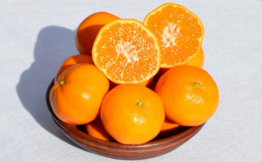 
和歌山県産 みかん 秀品 箱込約5kg（約4.1kg＋保証分500g）
