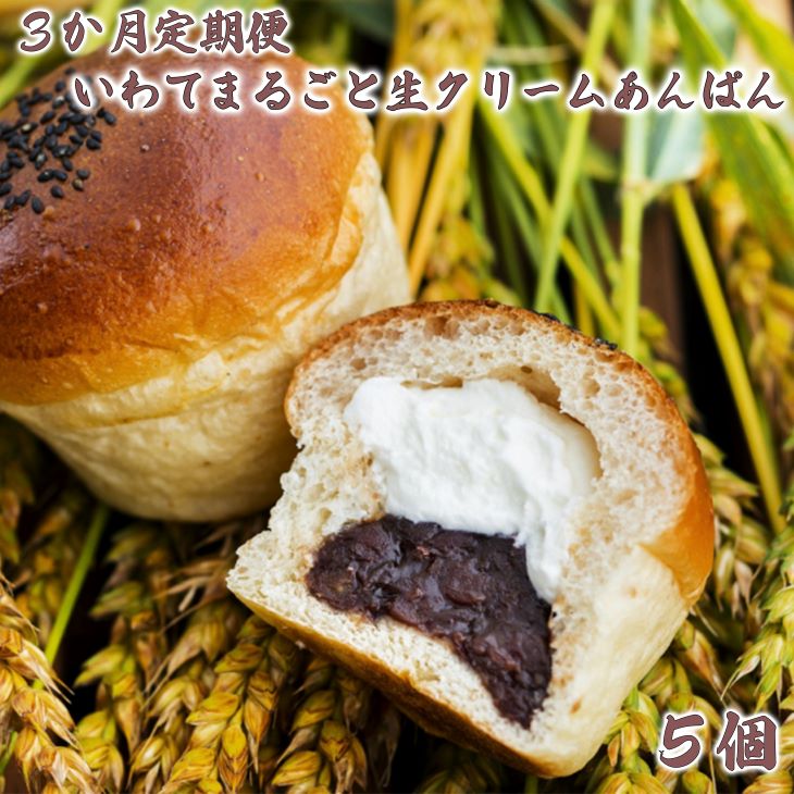 【ふるさと納税】「3か月定期便」お取り寄せ ふるさと納税 パン スイーツ 岩手まるごと 生クリーム あんぱん 5個 セット おすすめ 大人気 ぱん ギフト 冷凍 【入金確認後、翌月より発送開始】