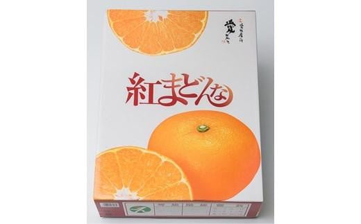 【ふるさと納税】 紅まどんな【JAえひめ中央】青秀 3Lから4Lサイズ 大玉 化粧箱（ 紅まどんな 柑橘 フルーツ まどんな みかん 愛媛 みかん 化粧箱 ギフト 紅まどんな 蜜柑 紅まどんな 愛媛県 松山市 フジ・アグリフーズ ）