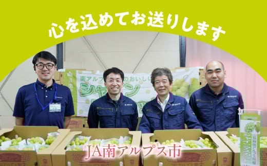 ＜2026年発送先行予約＞★TBSテレビ系列「ひるおび」で取り上げられました！★シャインマスカット 2房 約1kg (1房あたり約450g〜550g×2房） ALPAA055| 山梨 山梨県 ぶどう 