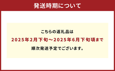 農家の休憩デコ 訳あり（C品 7kg） 果物 くだもの フルーツ 柑橘【2025年2月下旬～6月下旬発送】