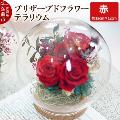 ふるさと納税 弘前市 プリザーブドフラワー テラリウム【赤】約12cm×約12cm 1個|24_sra-010101