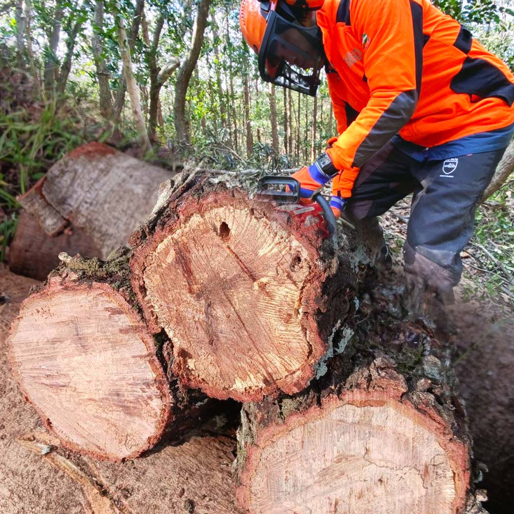 広葉樹薪 15kg 15キロ 約30cm まき 焚き火 たきび キャンプ 薪ストーブ 暖炉 囲炉裏 アウトドア バーベキュー BBQ 災害備蓄 防災グッズ 広葉樹 木材 燃料 国産【R01659】